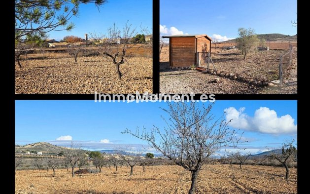 Resale - Detached villa - Jumilla - Cañada del Trigo