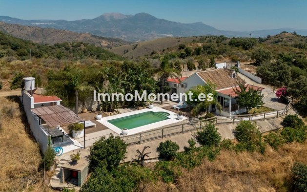 Revente - Maison de campagne - Intérieur                       - Monda