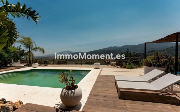 Revente - Maison de campagne - Intérieur                       - Monda