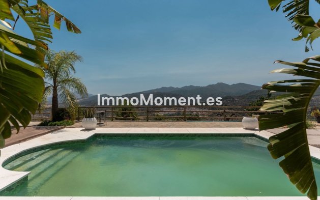 Revente - Maison de campagne - Intérieur                       - Monda