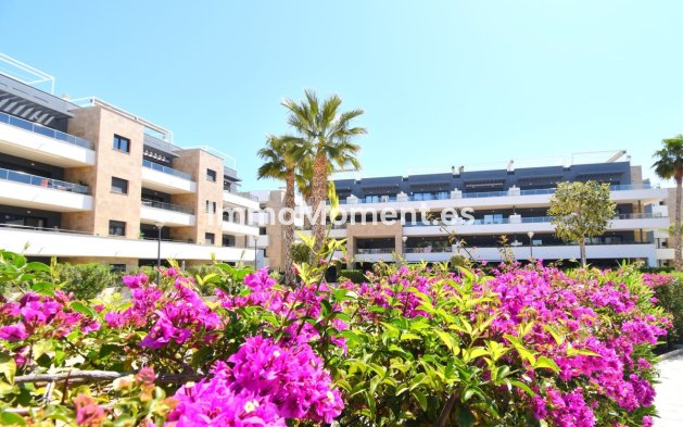 Wiederverkauf - Wohnung - Orihuela - Playa Flamenca