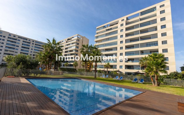 Reventa - Apartamento - Orihuela - Punta Prima