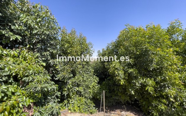 Resale - Country house - Inland  - Coín