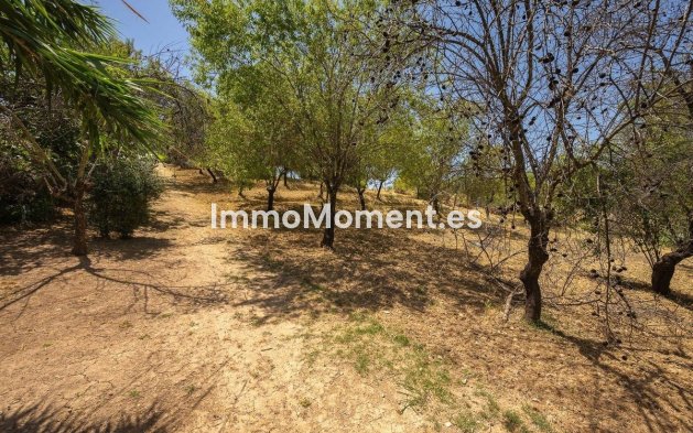 Wiederverkauf - Freistehende Villa -   Inländisch - Alhaurín el Grande Centro