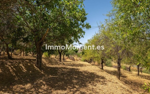 Wiederverkauf - Freistehende Villa -   Inländisch - Alhaurín el Grande Centro
