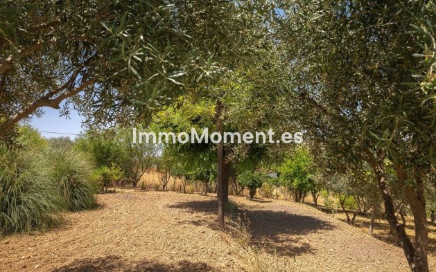 Wiederverkauf - Freistehende Villa -   Inländisch - Alhaurín el Grande Centro