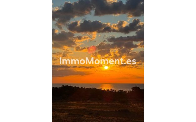 Resale - Apartment - Orihuela - Punta Prima