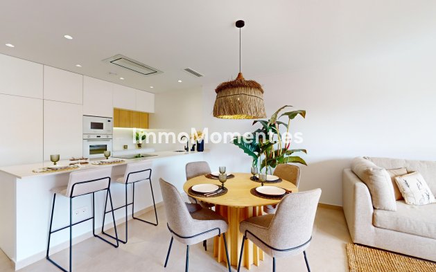 Construction neuve - Penthouse - Pilar de la Horadada