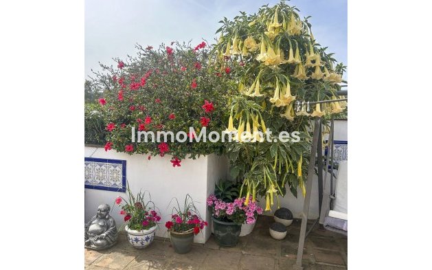 Resale - Country house - Inland  - Coín