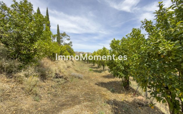 Resale - Country house - Inland  - Coín