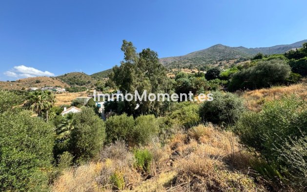 Revente - Parcelle - Mijas - Valtocado