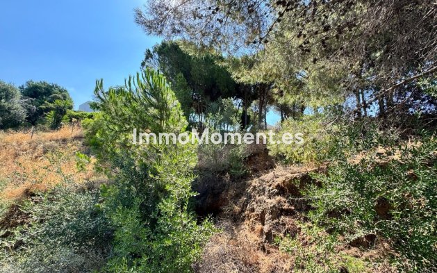 Revente - Parcelle - Mijas - Valtocado