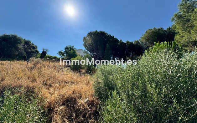 Revente - Parcelle - Mijas - Valtocado
