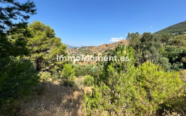 Revente - Parcelle - Mijas - Valtocado