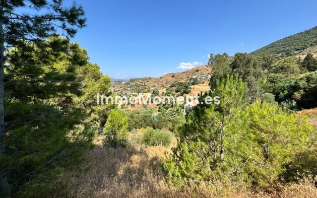 Revente - Parcelle - Mijas - Valtocado