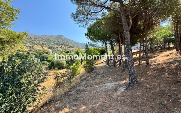 Revente - Parcelle - Mijas - Valtocado