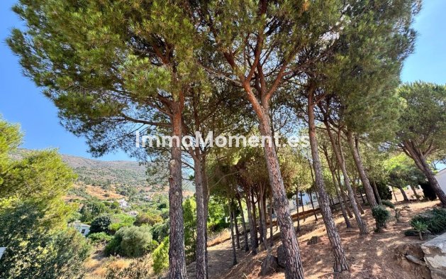Revente - Parcelle - Mijas - Valtocado