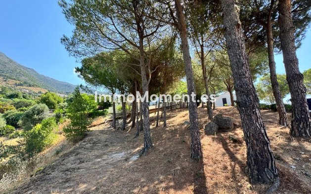 Revente - Parcelle - Mijas - Valtocado