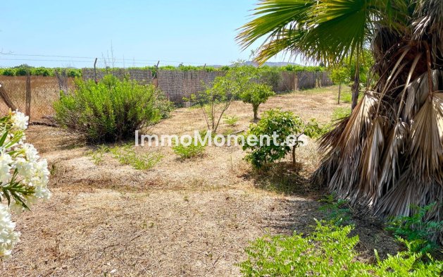 Resale - Detached villa - Daya Nueva - Daya Nueva Centro