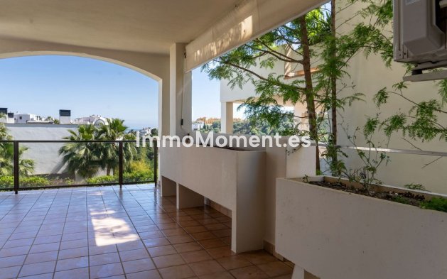 Wiederverkauf - Wohnung - Estepona  - Estepona Centro