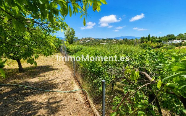 Revente - Maison de campagne - Estepona  - Estepona Centro