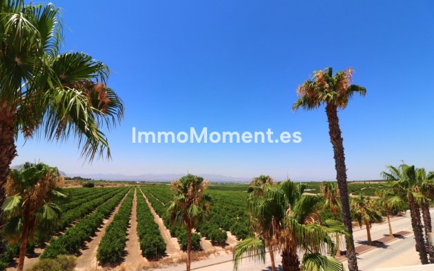Revente - Villa individuelle - Algorfa - Algorfa Centro