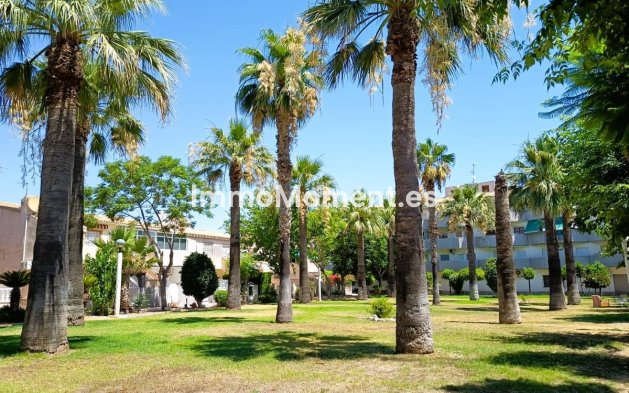 Reventa - Villa independiente - Orihuela - La Regia