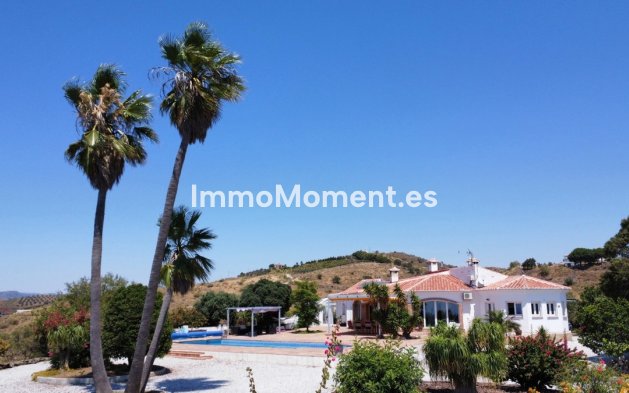 Wiederverkauf - Freistehende Villa - Málaga Este - El Trapiche
