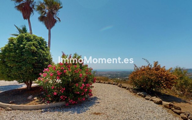 Wiederverkauf - Freistehende Villa - Málaga Este - El Trapiche