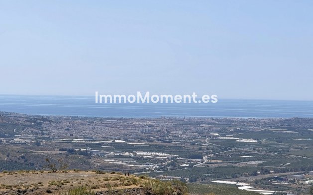 Wiederverkauf - Freistehende Villa - Málaga Este - El Trapiche
