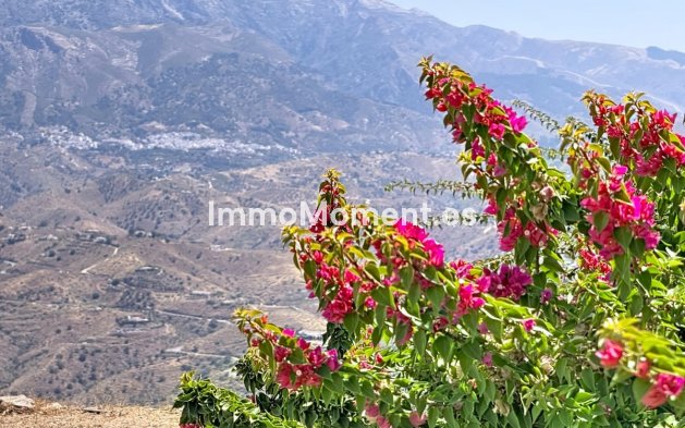 Wiederverkauf - Freistehende Villa - Málaga Este - El Trapiche