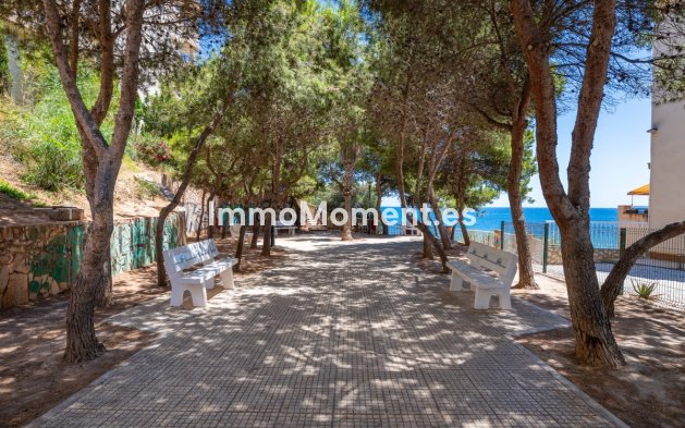 Wiederverkauf - Wohnung - Orihuela - Cabo roig - La Zenia