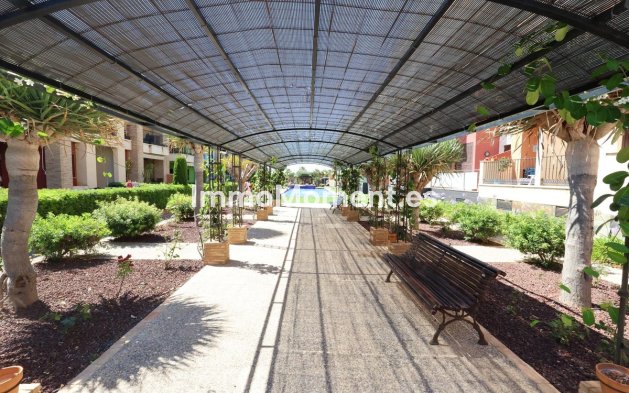 Resale - Apartment - Orihuela - Cabo roig - La Zenia
