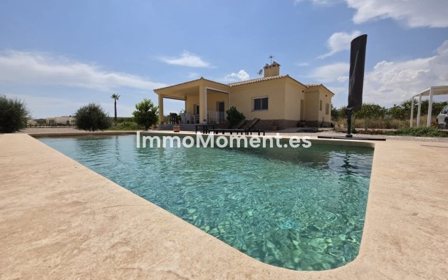 Wiederverkauf - Freistehende Villa - Pinoso - Pinoso Centro