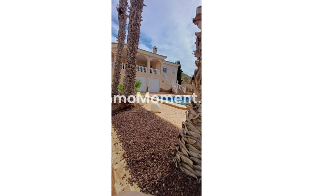 Bestaande woning - Vrijstaande villa - Algorfa - Algorfa Centro