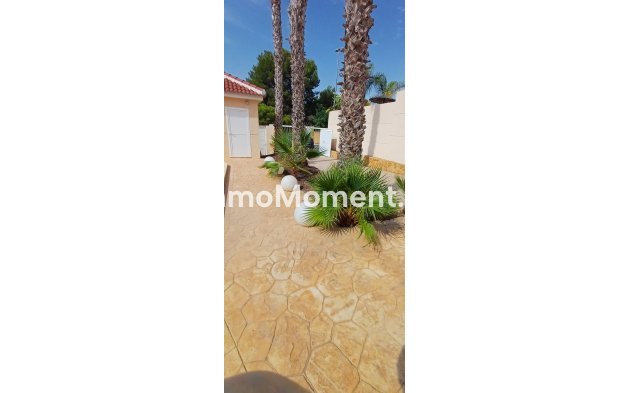 Bestaande woning - Vrijstaande villa - Algorfa - Algorfa Centro