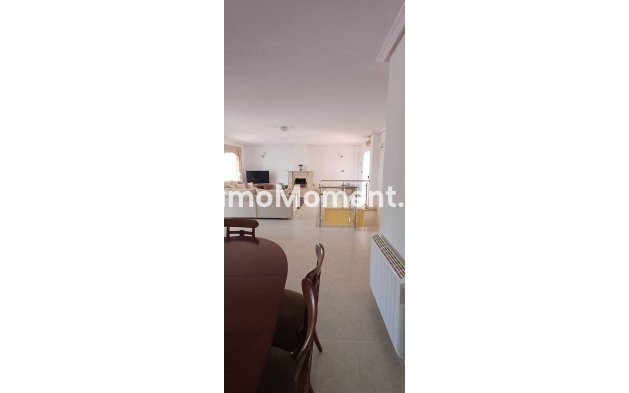 Bestaande woning - Vrijstaande villa - Algorfa - Algorfa Centro
