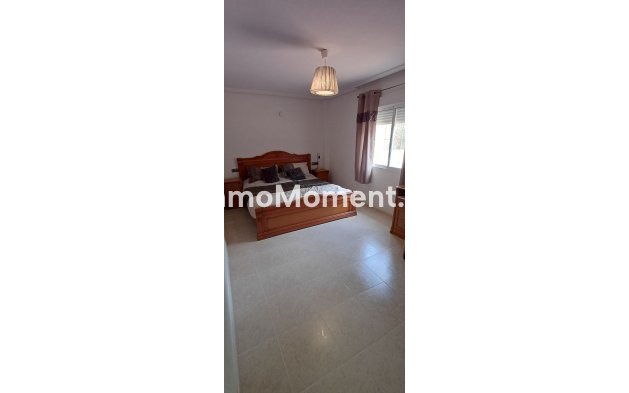 Bestaande woning - Vrijstaande villa - Algorfa - Algorfa Centro