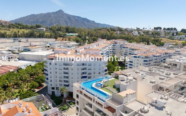 Revente - Appartement - Marbella - Nueva Andalucía