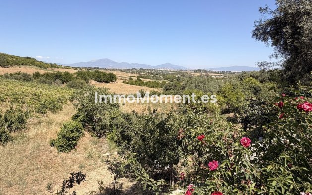 Reventa - Casa de campo - Interior  - Alhaurín el Grande Centro