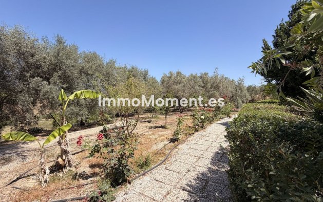 Reventa - Casa de campo - Interior  - Alhaurín el Grande Centro