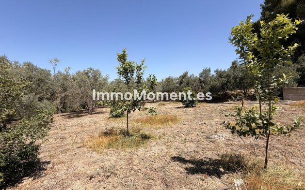 Reventa - Casa de campo - Interior  - Alhaurín el Grande Centro