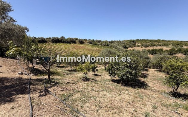 Reventa - Casa de campo - Interior  - Alhaurín el Grande Centro