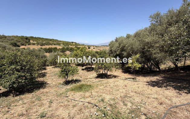 Reventa - Casa de campo - Interior  - Alhaurín el Grande Centro