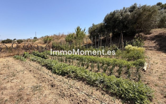 Reventa - Casa de campo - Interior  - Alhaurín el Grande Centro