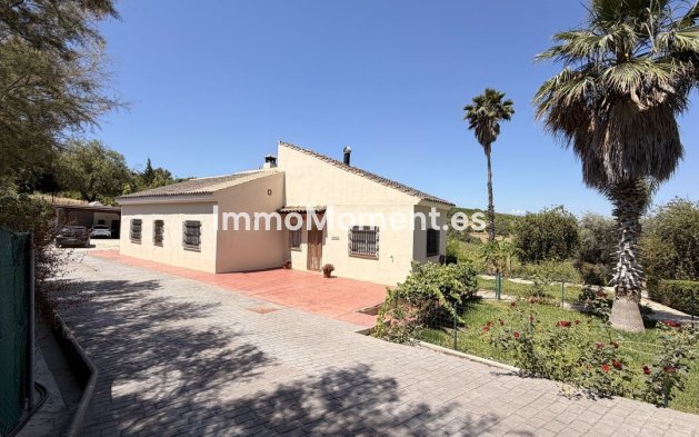 Reventa - Casa de campo - Interior  - Alhaurín el Grande Centro