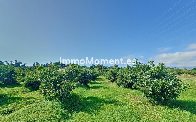 Bestaande woning - Landhuis - Estepona  - El Padron