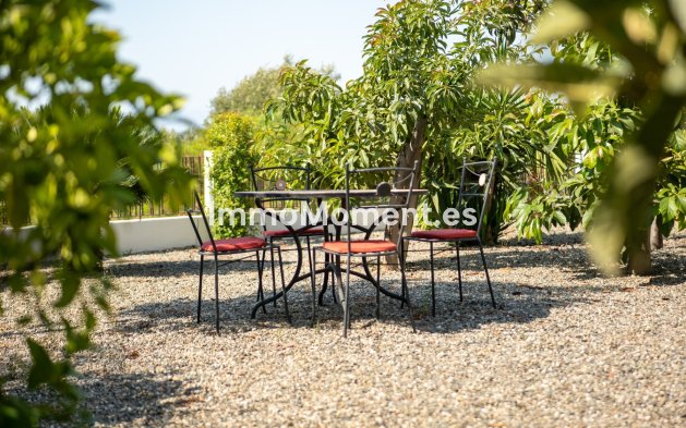 Vakantie verhuur - Vrijstaande villa - Estepona  - El Padron