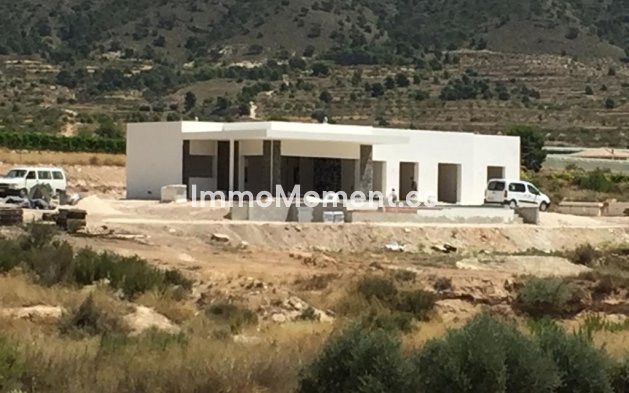 Bestaande woning - Vrijstaande villa - Pinoso - Pinoso Centro