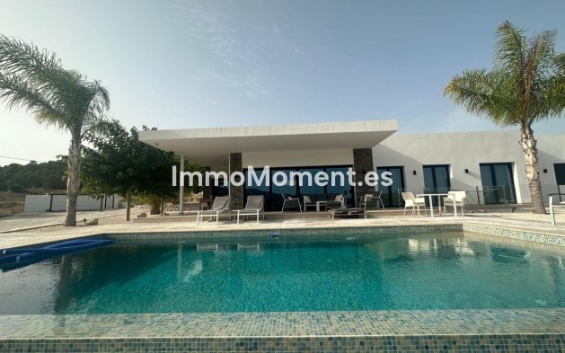 Bestaande woning - Vrijstaande villa - Pinoso - Pinoso Centro